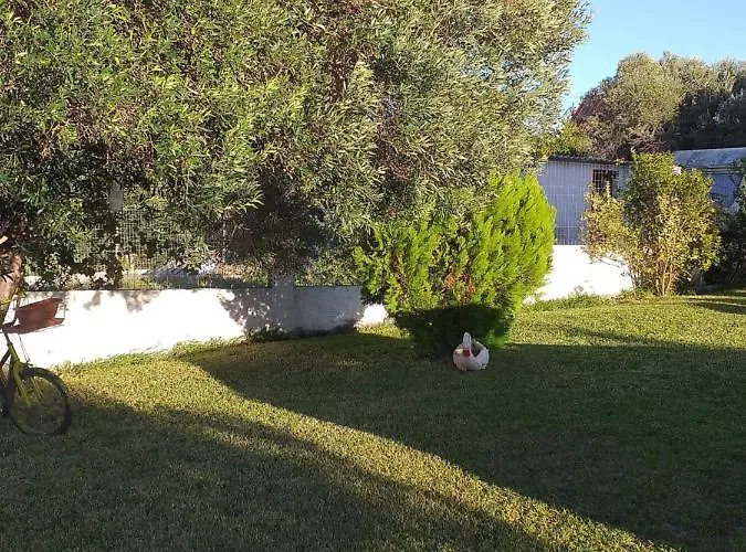 Tasos * Nea Poteidaia